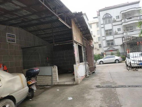 小区汽车挡风玻璃价格解析
