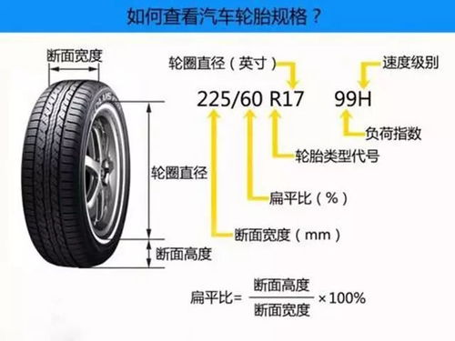 冬日行车安全指南，轮胎压力的正确理解与维护