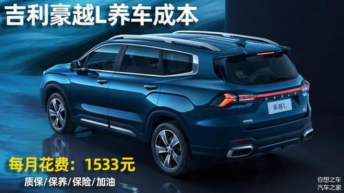 吉利汽车系统更换费用分析与建议