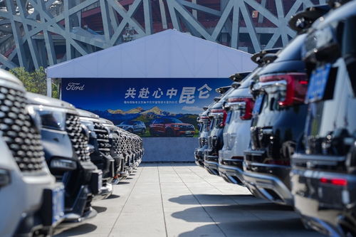 奥运会拍卖汽车数量与市场反响