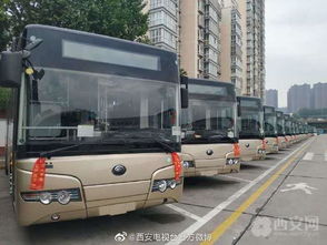 交通工具类型，不同类型的交通工具（如空调客车、普通客车、旅游大巴）票价会有一定的差异