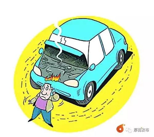 汽车受损报废的标准和费用解析