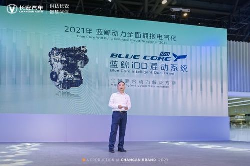 重庆汽车除尘费用解析与建议