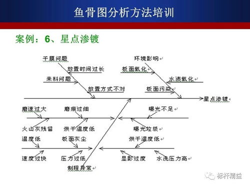 汽车承重问题的重要性与解决方案