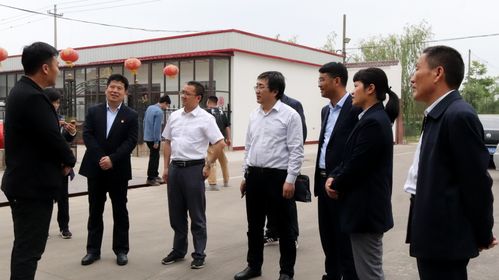 西和县汽车停车收费标准解析与指南