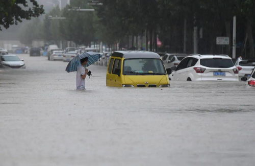 郑州暴雨后汽车补贴政策解析与实际应用