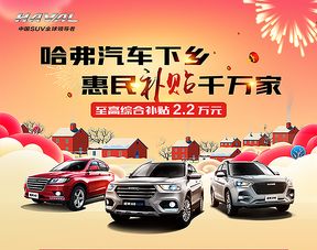 低配汽车下乡补贴政策解析