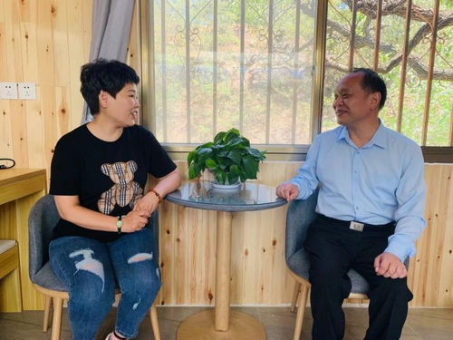 汽车安全带滑轮的市场调查与价格分析