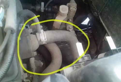 爱丽舍汽车防冻液添加量的正确方法