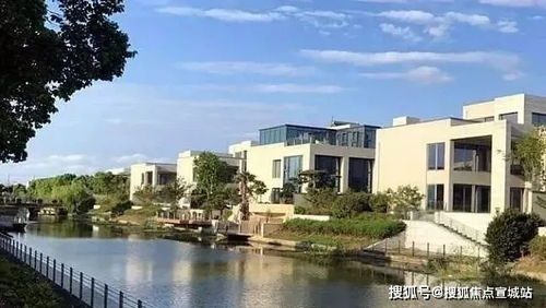 阿尔法商务汽车的市场定位与价格策略
