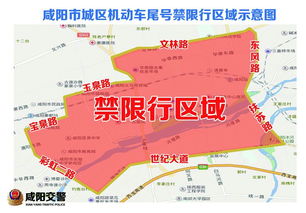 温州明天的限行政策解析及影响分析