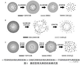 选择合适的材质和形状