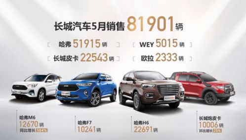 临颍长城汽车价格详解，从入门到精通