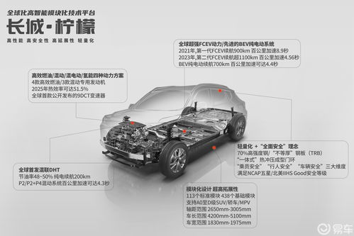 长城汽车越南建厂，中国企业布局海外的又一里程碑