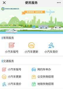汽车摇号代办费用详解，为何选择专业服务？