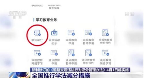 小型汽车记分周期详解，了解如何管理你的驾驶行为