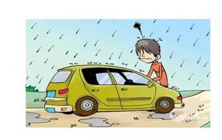 撕汽车玻璃膜的价格因多种因素而异