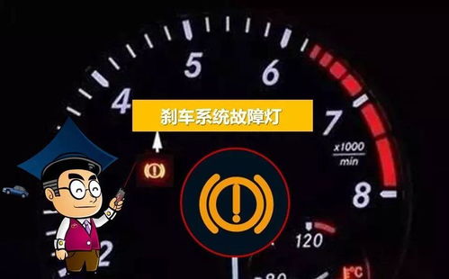 汽车双跳灯的频率
