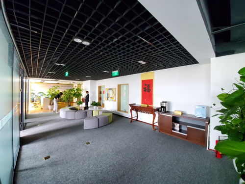 苏州节能汽车租赁的详细价格指南
