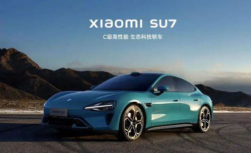 高性能电动汽车，探索汽车电池的高昂价格与价值