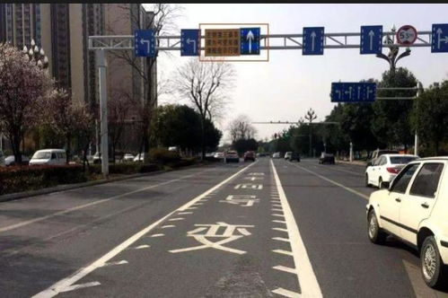汽车驶反车道扣多少分