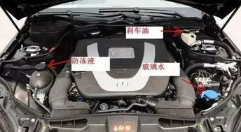 君威汽车防冻液价格是多少？
