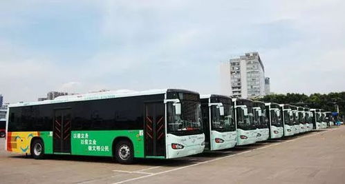 定南到寻乌的汽车票价及交通方式介绍