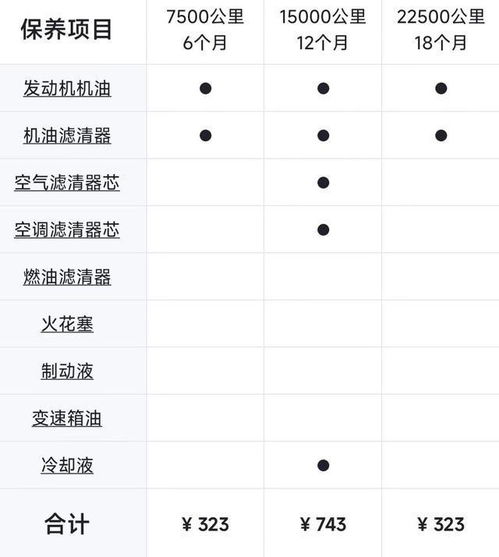 海豚汽车购买与保养成本分析