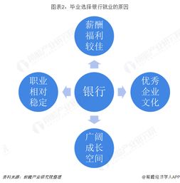汽车公司会计的薪酬分析与职场洞察