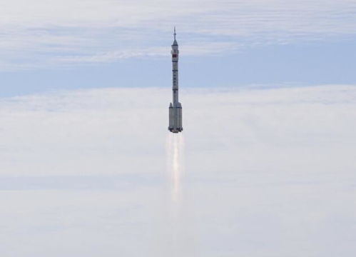 美国科学家宣布成功复活了约一万两千五百年前的灭绝恐狼