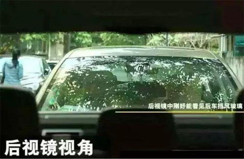 惠州到江门的汽车距离有多远？