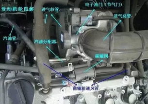 如何准确计算汽车加机油的量？