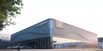 长城汽车霸大的价格走势与市场动态分析