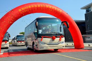 绿色汽车健康舱，打造未来出行新标准