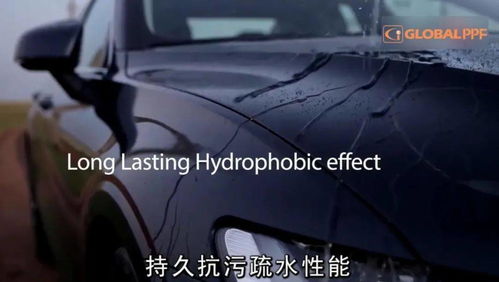批发汽车小灯泡的价格与选择指南 批发汽车小灯泡的价格与选择指南