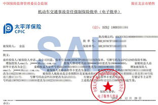 详解汽车刚转户后的保险费用，一个全面指南