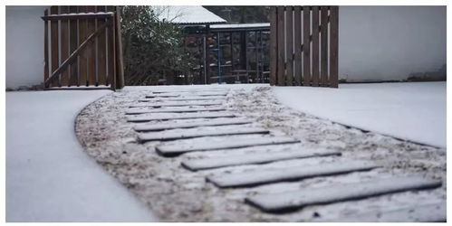 汽车在下雪的道路上还能开多少米