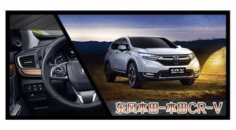 车型选择