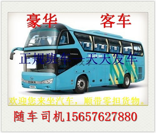 从金城江到重庆的汽车费用是多少？