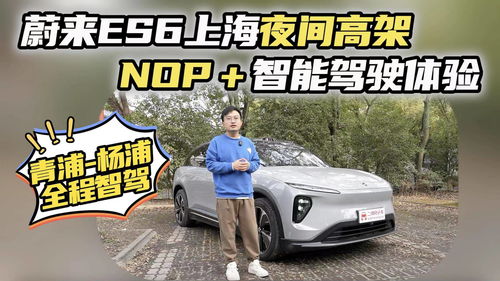 辛巴汽车的最低价格