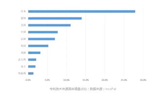 中国专利汽车，数量与创新的并行