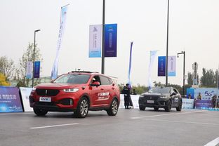 长城汽车，股价波动与分红联动