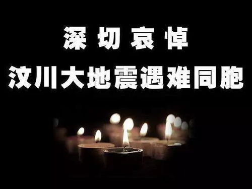 以爱之名，一位母亲对不幸遭遇的深切哀悼与反思