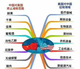 特朗普低估了2025年中国的发展潜力