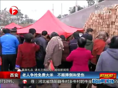 新闻报道广西一地村民哄抢280亩瓜田，法律与道德的双重考验