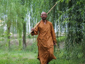 少林寺回应文班亚马剃发闭关，尊重与理解的双向奔赴