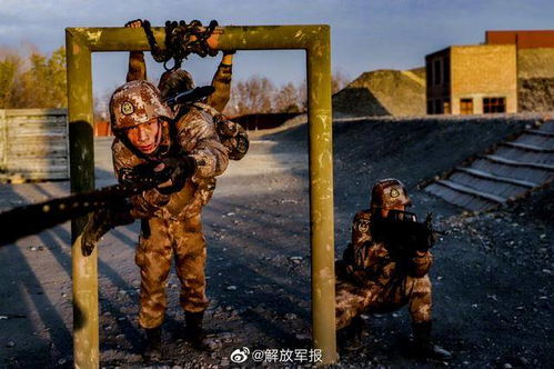 专家，机械蚊子颠覆战场侦察打击模式